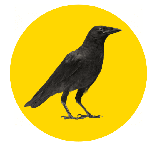 Copy of The Clever Crow (4)